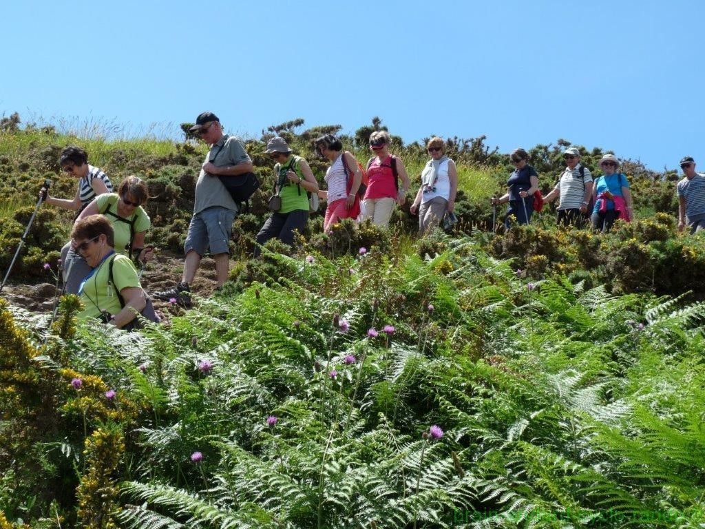 Sortie du groupe pédestre à Belle-île du 9 au 12 Juin 2016