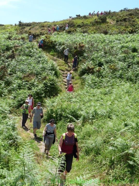 Sortie du groupe pédestre à Belle-île du 9 au 12 Juin 2016