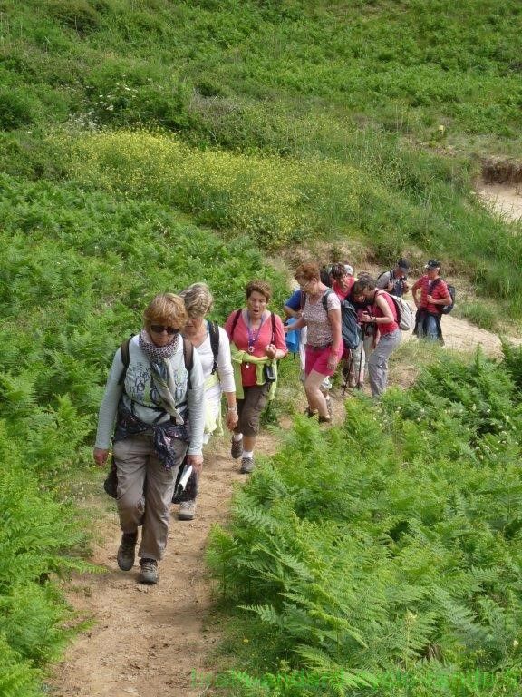 Sortie du groupe pédestre à Belle-île du 9 au 12 Juin 2016