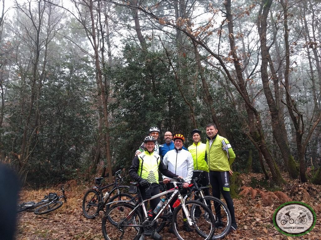 VTT sortie en forêt 